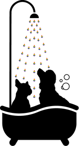 Rover & Co - Wash & Dry - Hero Image