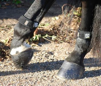 EQU StreamZ Bio-Resonance Horse Bands (Pair) - Hero Image