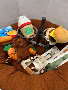 Puppy Starter Pack - Hero Image