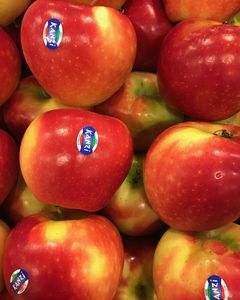 Kanzi Apple Tray Hamper - Hero Image