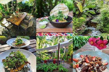 Meal Voucher for The Bamboo Buddha - Hero Image