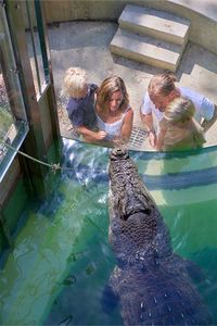 Entry to Wildlife Habitat for 1 Adult and 1 Child - Hero Image