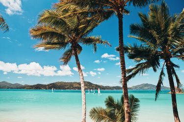 Family Holiday Worth $5000 to Hamilton Island or Fiji - Hero Image