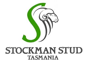 1 Side of prime Tasmanian Lamb - Kindly Donated by Stockman Stud - Hero Image