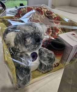Hamper Donated by Banyo RSL Sub-Branch & Citizens' Auxiliary - Hero Image