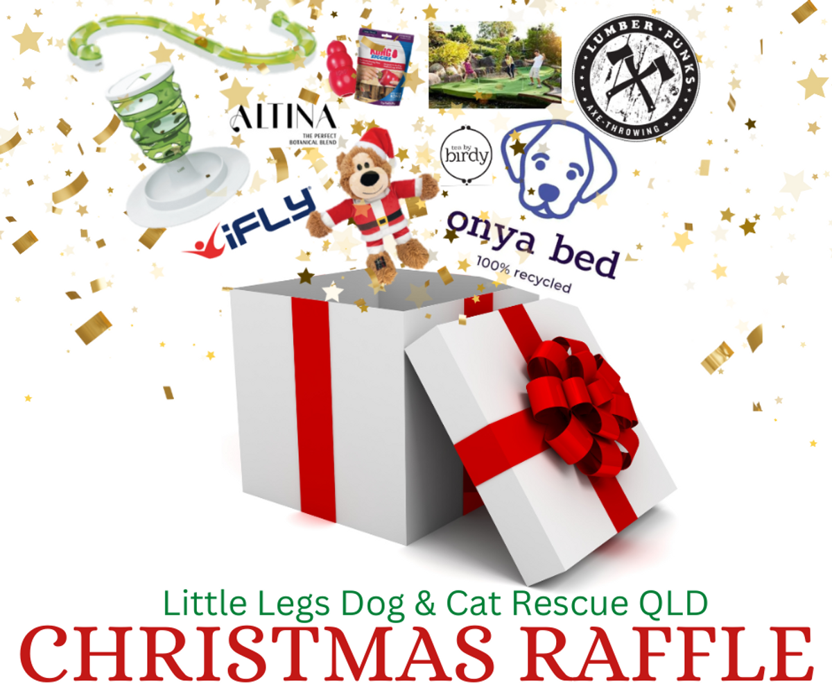 12 Gifts of Christmas