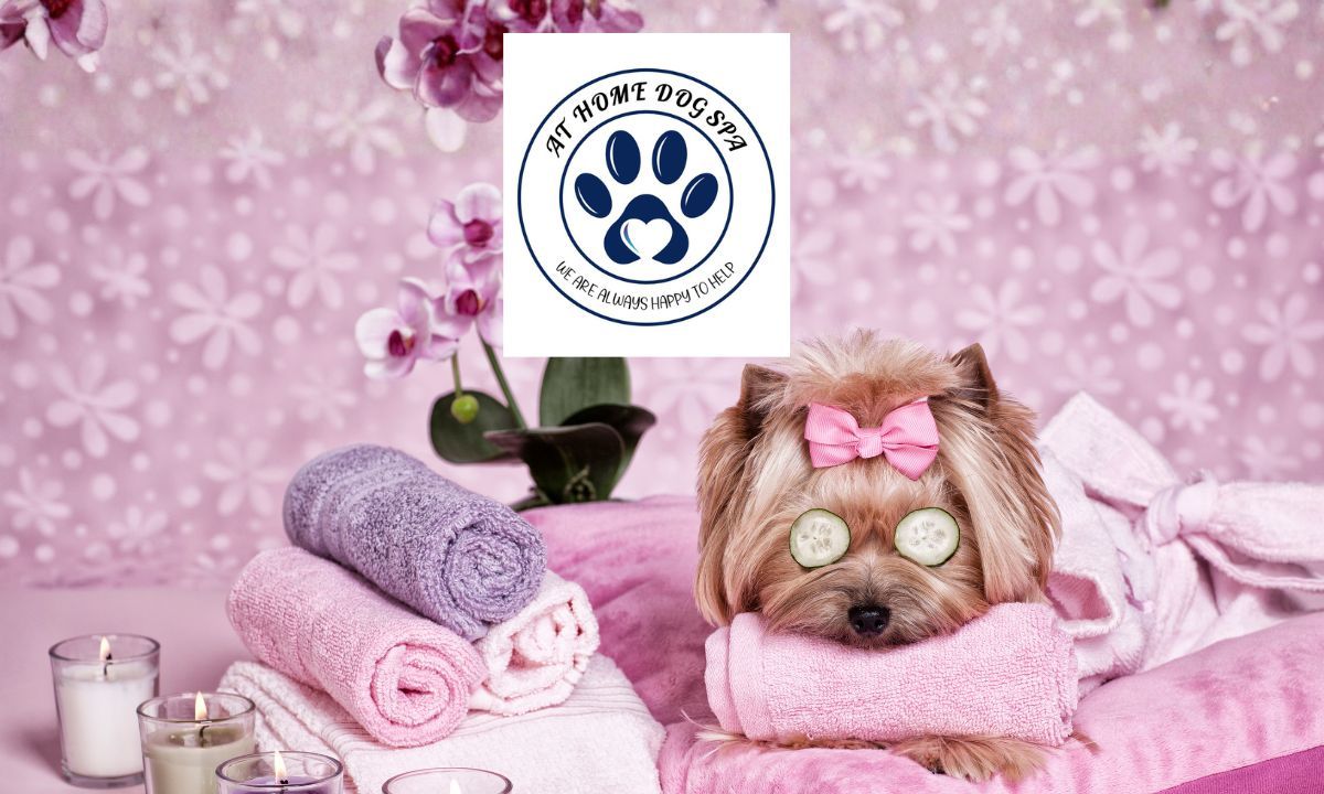 At Home Dog Spa – $100 Gift Voucher - Hero image