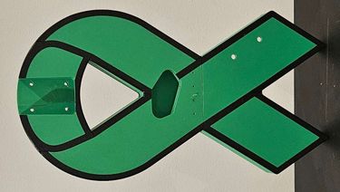The 'Green Monster' Hopecaster - Hero Image