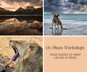 Oz Photo Workshops- print - Hero Image