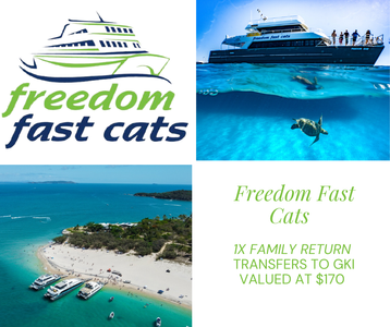 Freedom Fast Cats- family return transfers to GKI - Hero Image