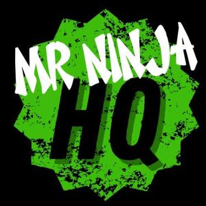 Mr Ninja HQ: Ninja Warrior Training - Hero Image