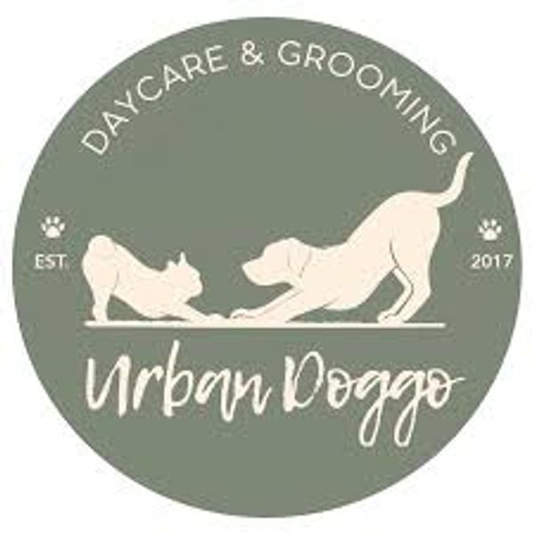 The Urban Doggo
