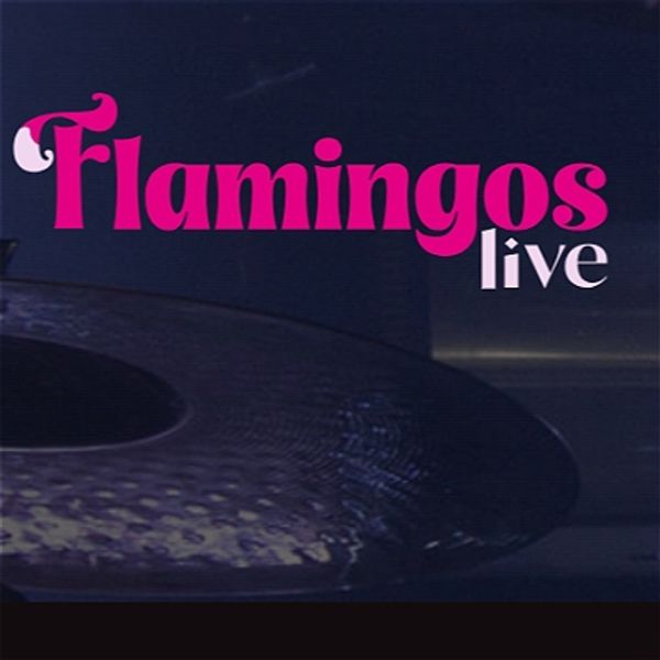 Flamingos Live