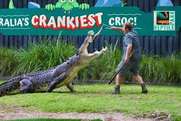 Australian Reptile Park - Family Pass - Hero Image