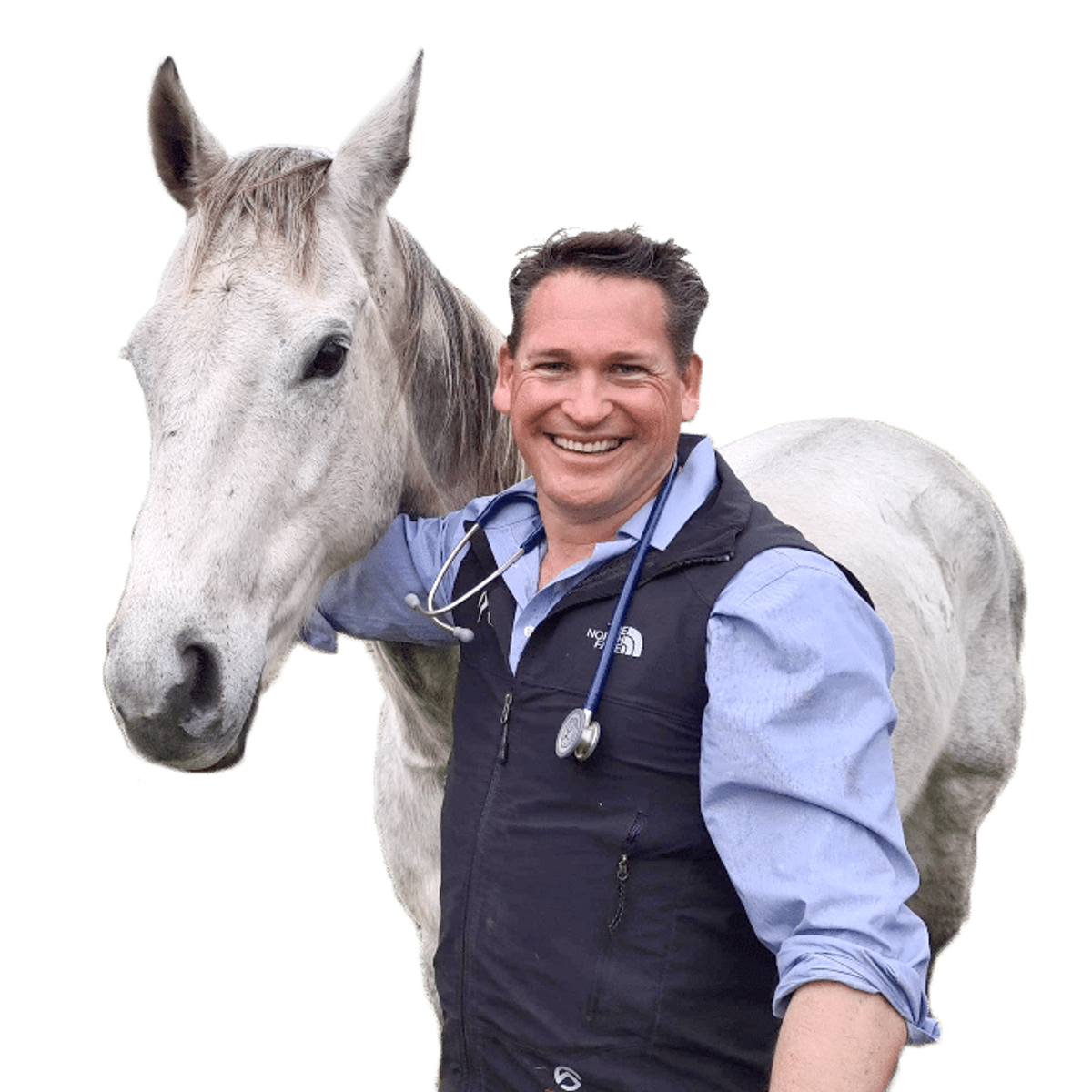 Oldbury Vet Hospital equine voucher - Hero image