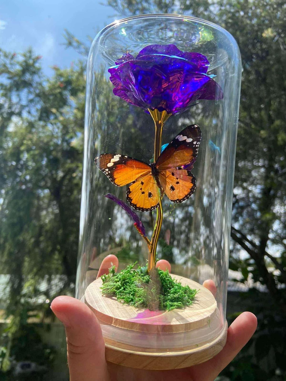 Gift Hamper (Dog Photography, Beauty Voucher + Much More) - Hero image