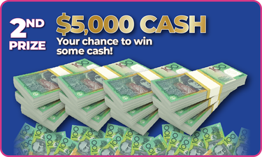 $5000 CASH - Hero Image