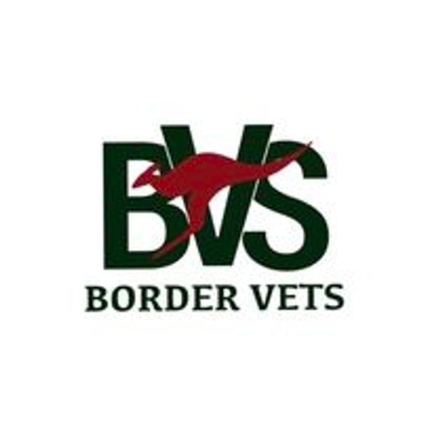 Border Veterinary Surgery