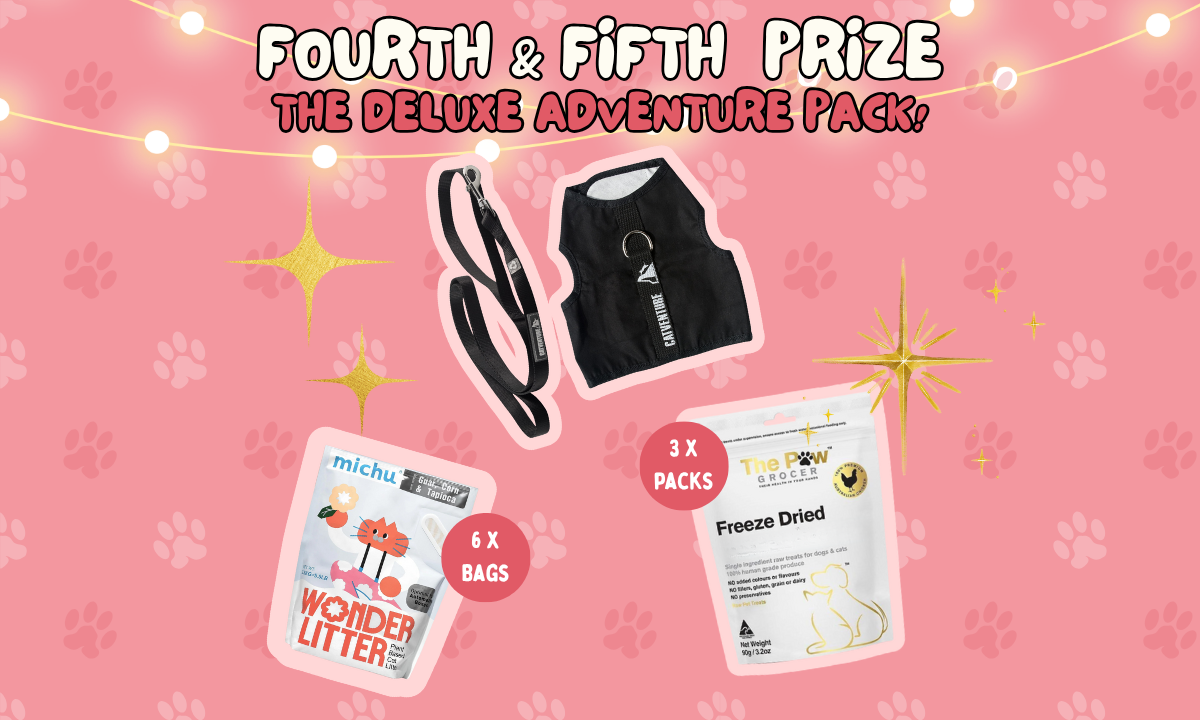 5th Prize - The Deluxe Adventure Pack - Hero image