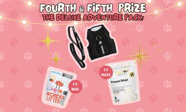 5th Prize - The Deluxe Adventure Pack - Hero Image