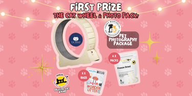 1st Prize – The Ultimate Cat Wheel & Photo Pack - Hero Image