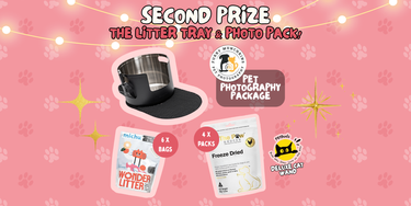 2nd Prize – Litter Tray and Photo Pack! - Hero Image