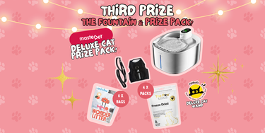 3rd Prize – Fountain and Prize Pack! - Hero Image