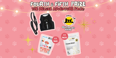 4th Prize - The Deluxe Adventure Pack - Hero Image