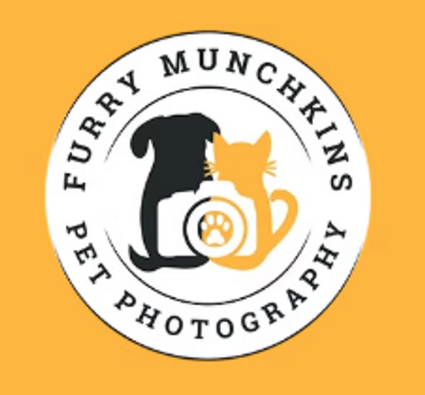Furry Munchkins Pet Photography