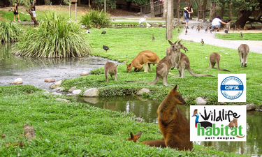 Wildlife Habitat Port Douglas - Hero Image