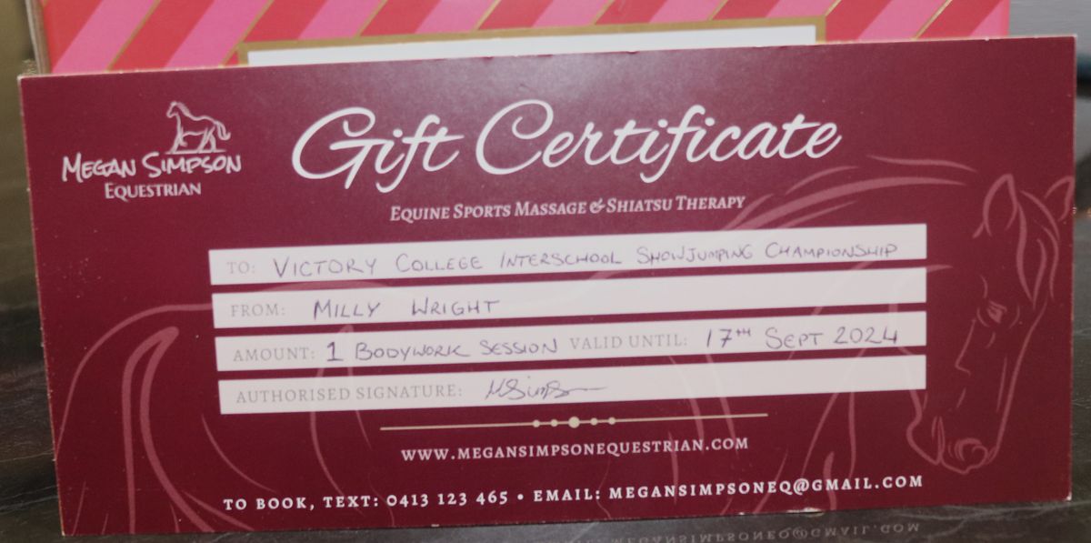 GIFT VOUCHER - Equine Sports Massage - 1 x bodywork session - Hero image
