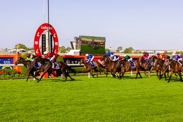 Private suite for 10 people on a standard Saturday race day, including a $1000 voucher - Hero Image