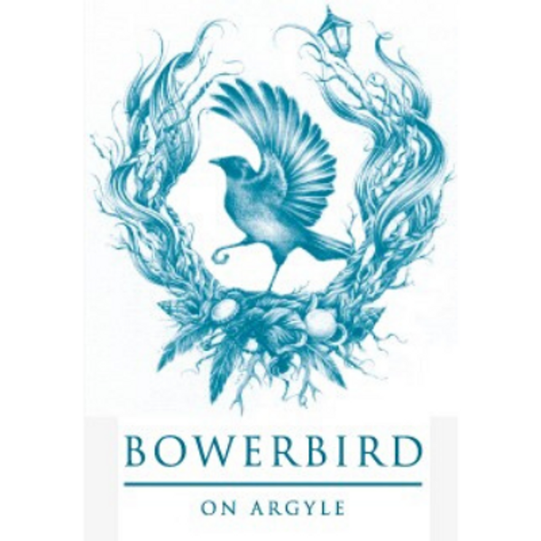Bowerbird on Argyle