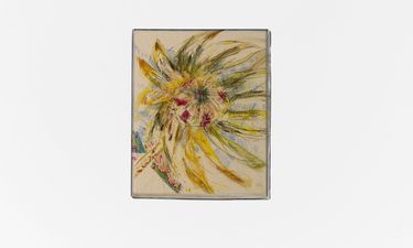 'Fiori' by Claudia Mazzotta - Hero Image