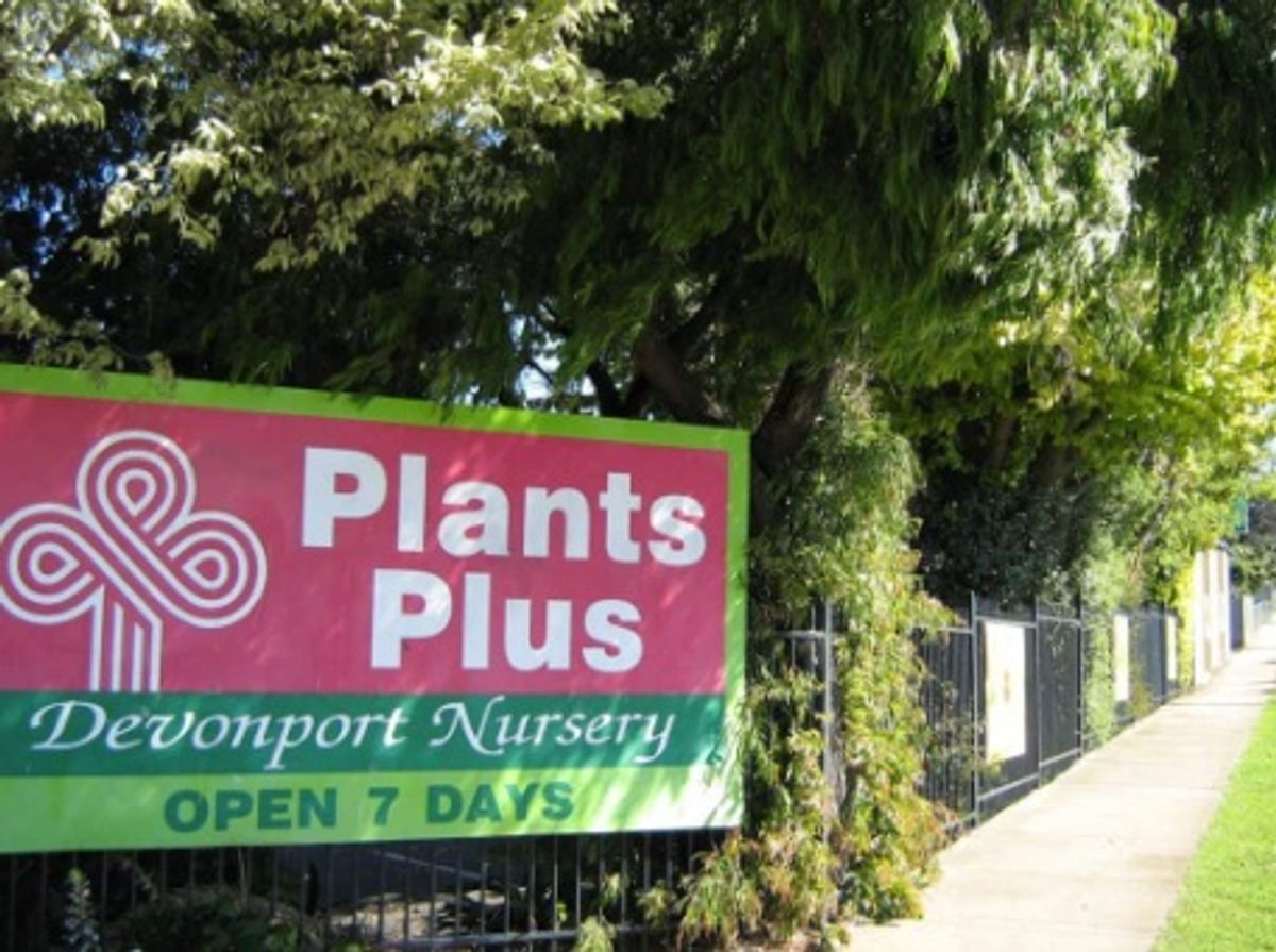 Plants Plus Devonport Plant Care Kit - Hero image