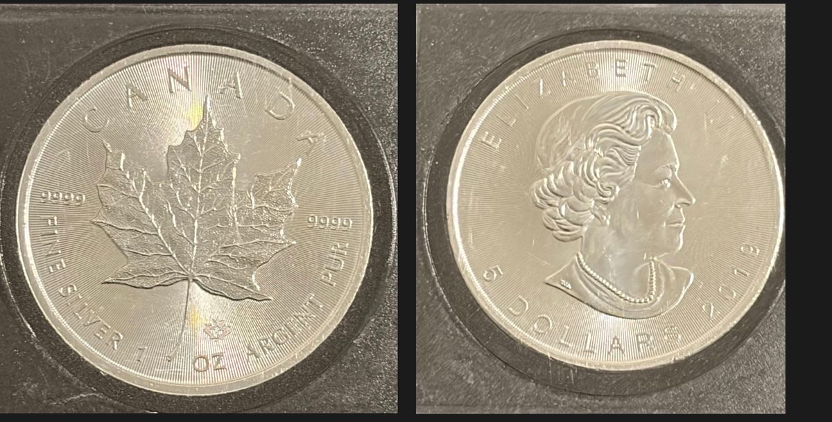 1oz 99.99% Pure Silver Investment Coin (Canadian Minted) - Hero image