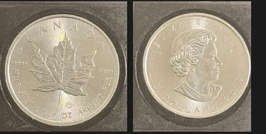 1oz 99.99% Pure Silver Investment Coin (Canadian Minted) - Hero Image