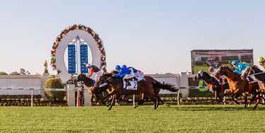 Premier Experience & Hospitality for Four with Brisbane Racing - Hero Image