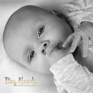 Tiny Hands Photography Gift Voucher - Hero Image