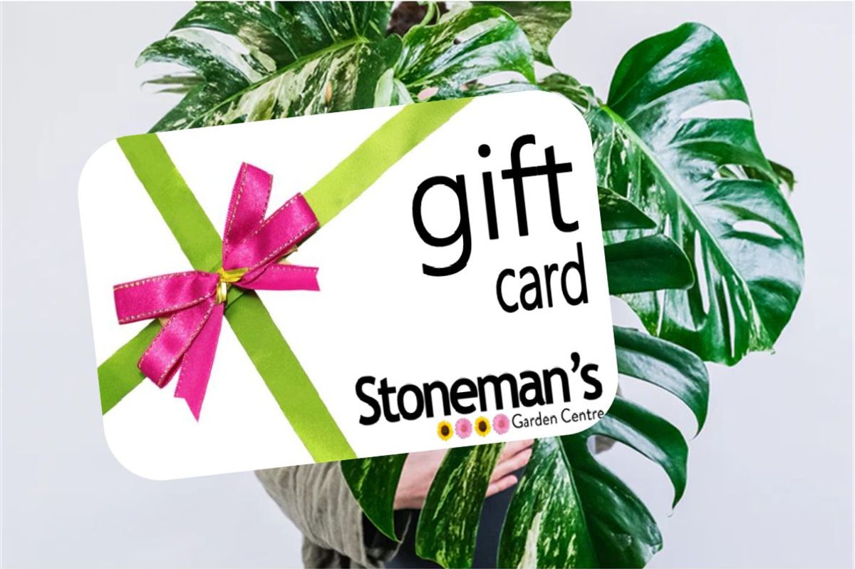 Stoneman's Garden Centre Voucher - Hero image