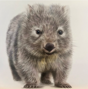 Signed Wombat Art Print by Local Artist Rachel Harris - Hero Image