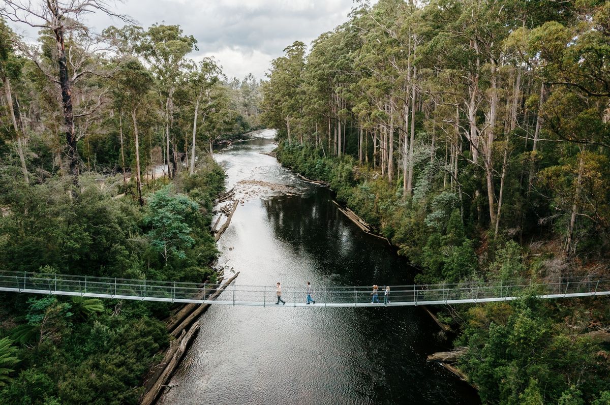Tahune Airwalk Adventures Family Pass - Hero image