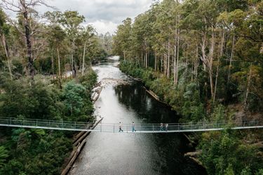 Tahune Airwalk Adventures Family Pass - Hero Image