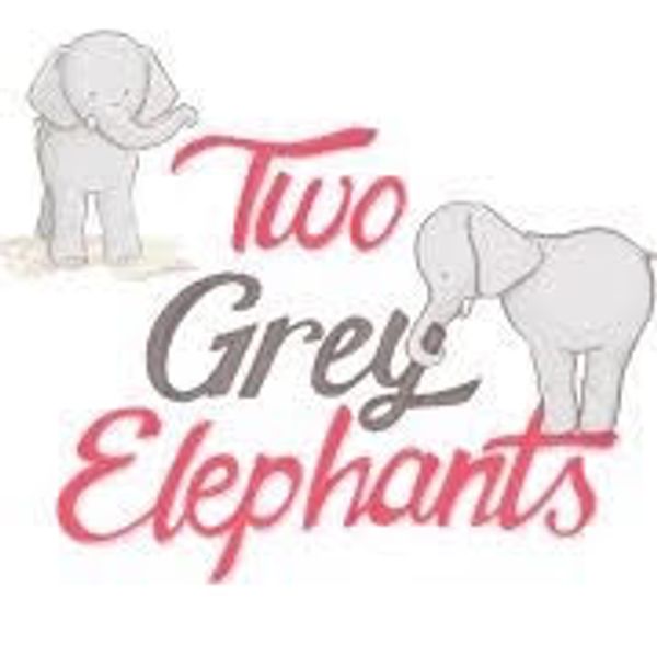 Two Grey Elephants