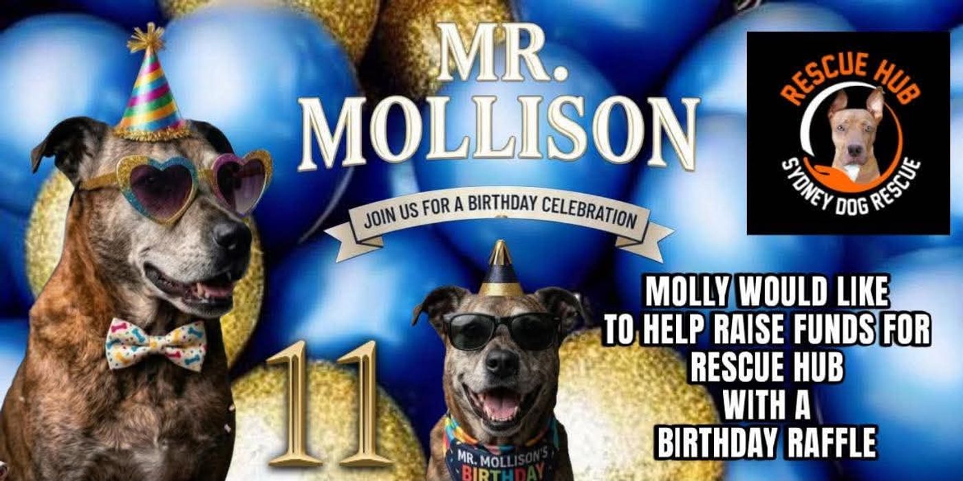 RaffleTix | MOLLISON'S BIG BIRTHDAY RAFFLE