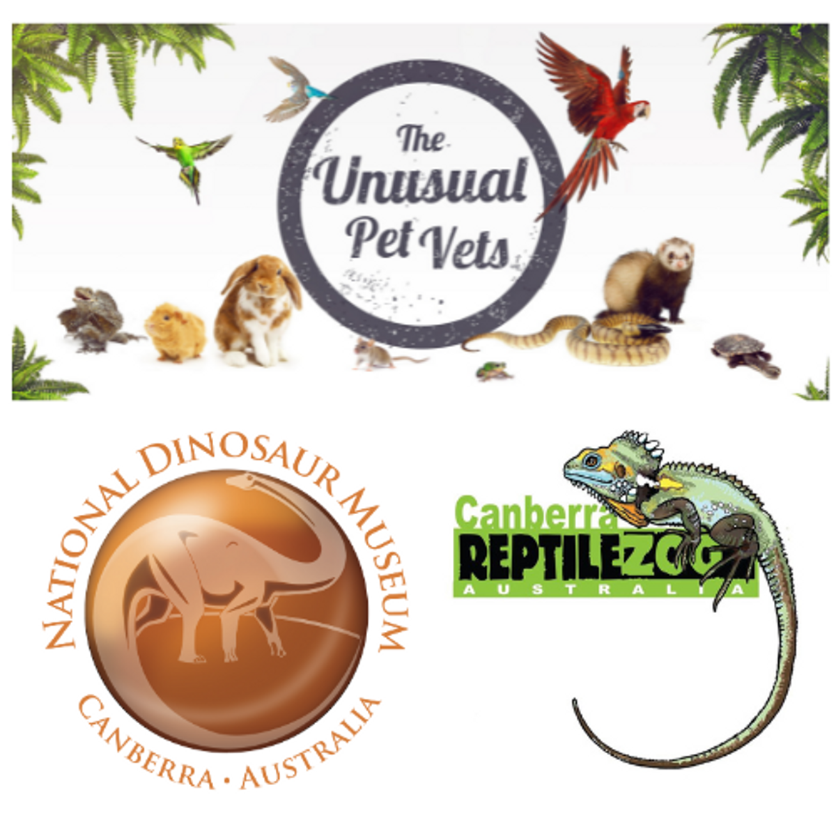 Kids Pack 1: Unusual Pet Vet consult, Canberra Reptile Zoo pass, National Dinosaur Museum pass - Hero image