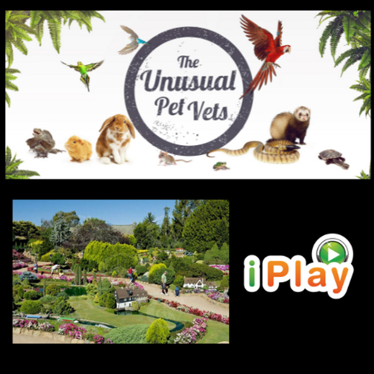 Kids Pack 2: Unusual Pet Vet consult, Cockington Green Gardens pass, iPlay Play pack - Hero image