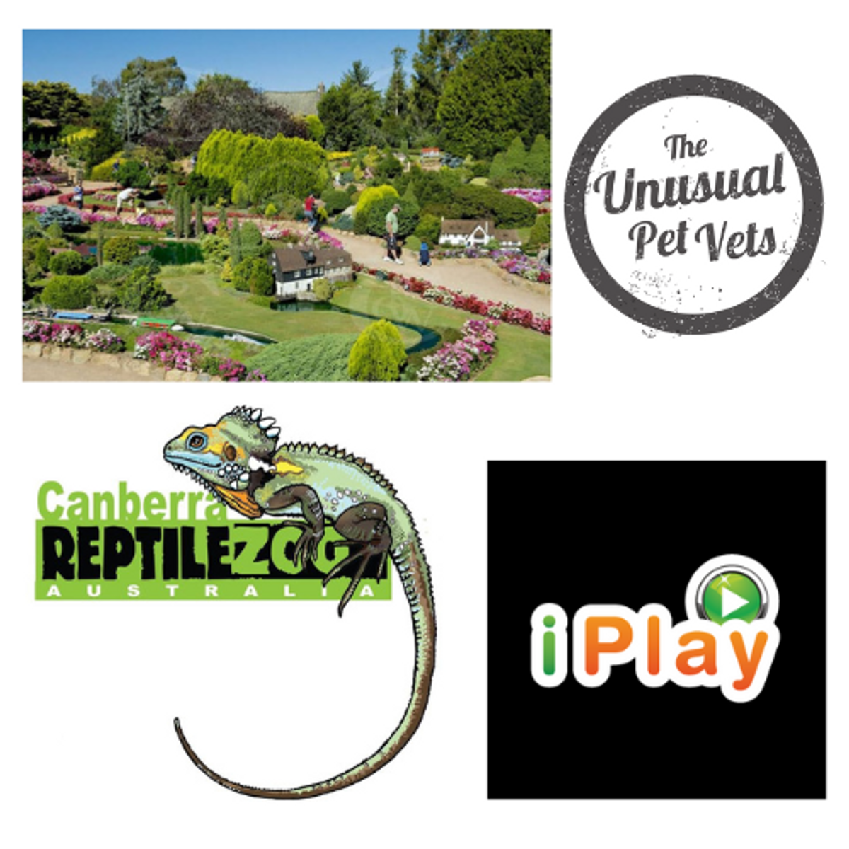 Kids Pack 3: Cockington Green & Reptile Zoo passes, 20% off Unusual Pet Vet consult, iPlay Play pack - Hero image