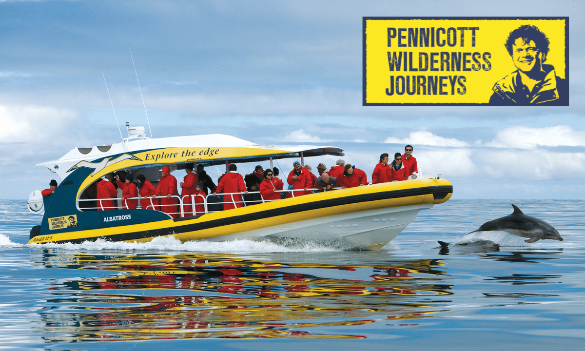 Pennicott Wilderness Journeys Voucher - Hero image