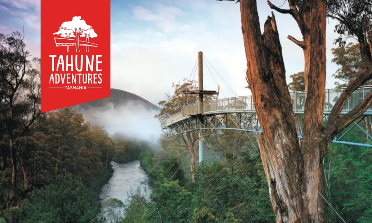 Tahune Airwalk Family Pass - Hero image